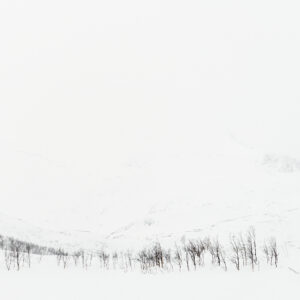 Senja, Norway, Mountains, Winter, Landscape Photography, Travel Photography, shapes, trees